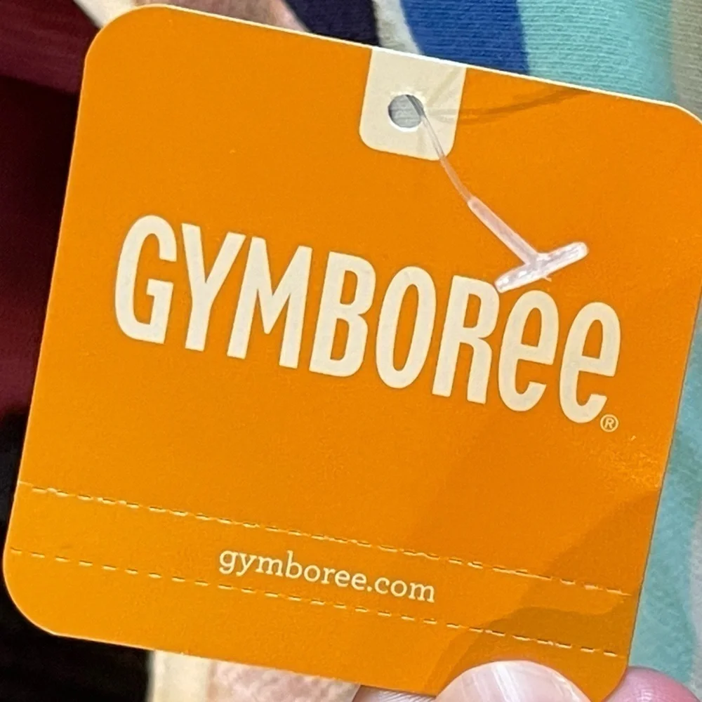 Gymboree nwt multicolored cotton stripe pocket long sleeve dress